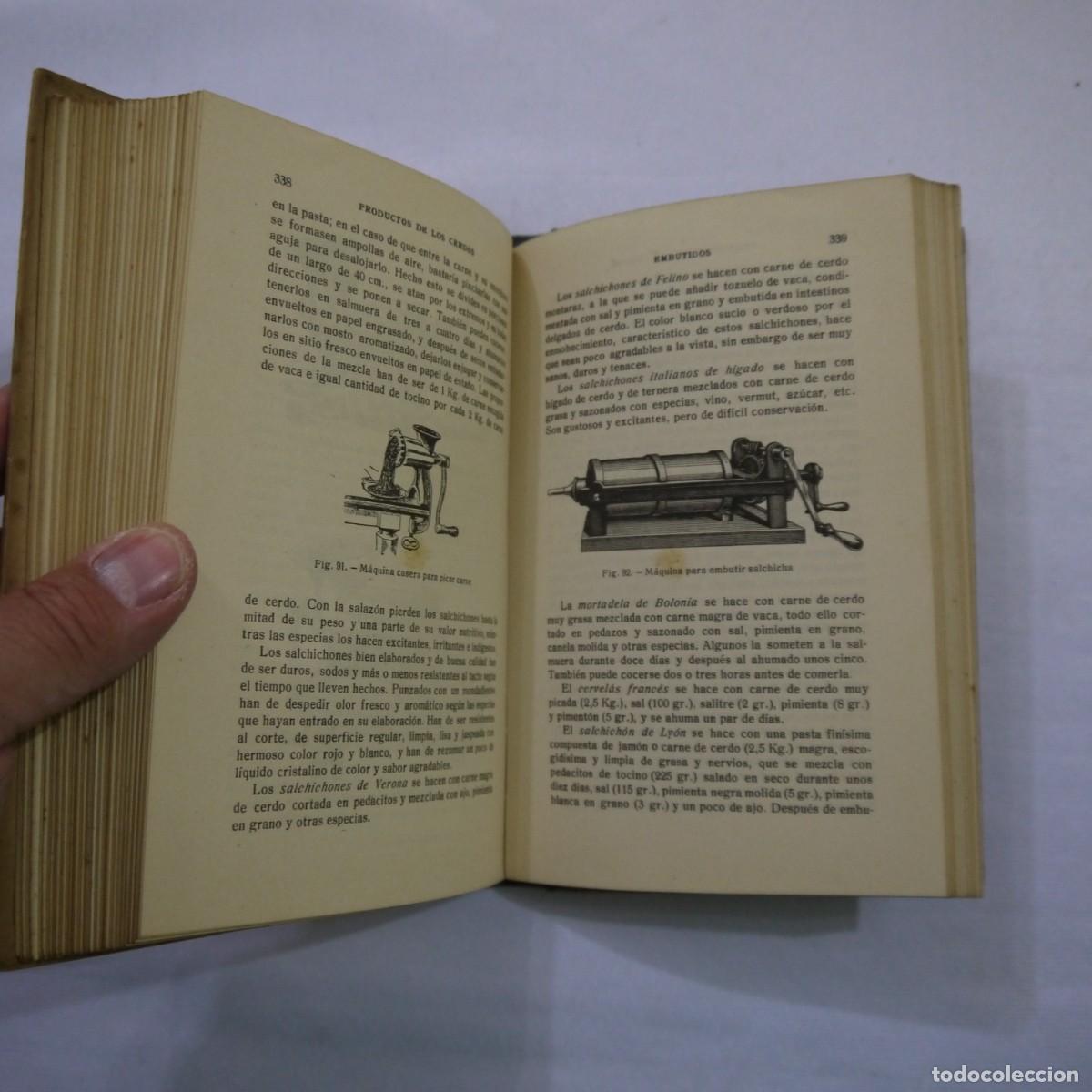 Libros: LA CRIA DEL CERDO - E. MARCHI Y C. PUCHI - GUSTAVO GILI - 1942 - Foto 12
