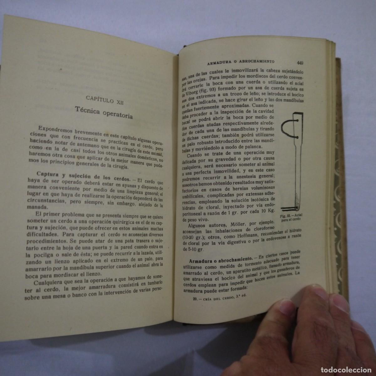 Libros: LA CRIA DEL CERDO - E. MARCHI Y C. PUCHI - GUSTAVO GILI - 1942 - Foto 13