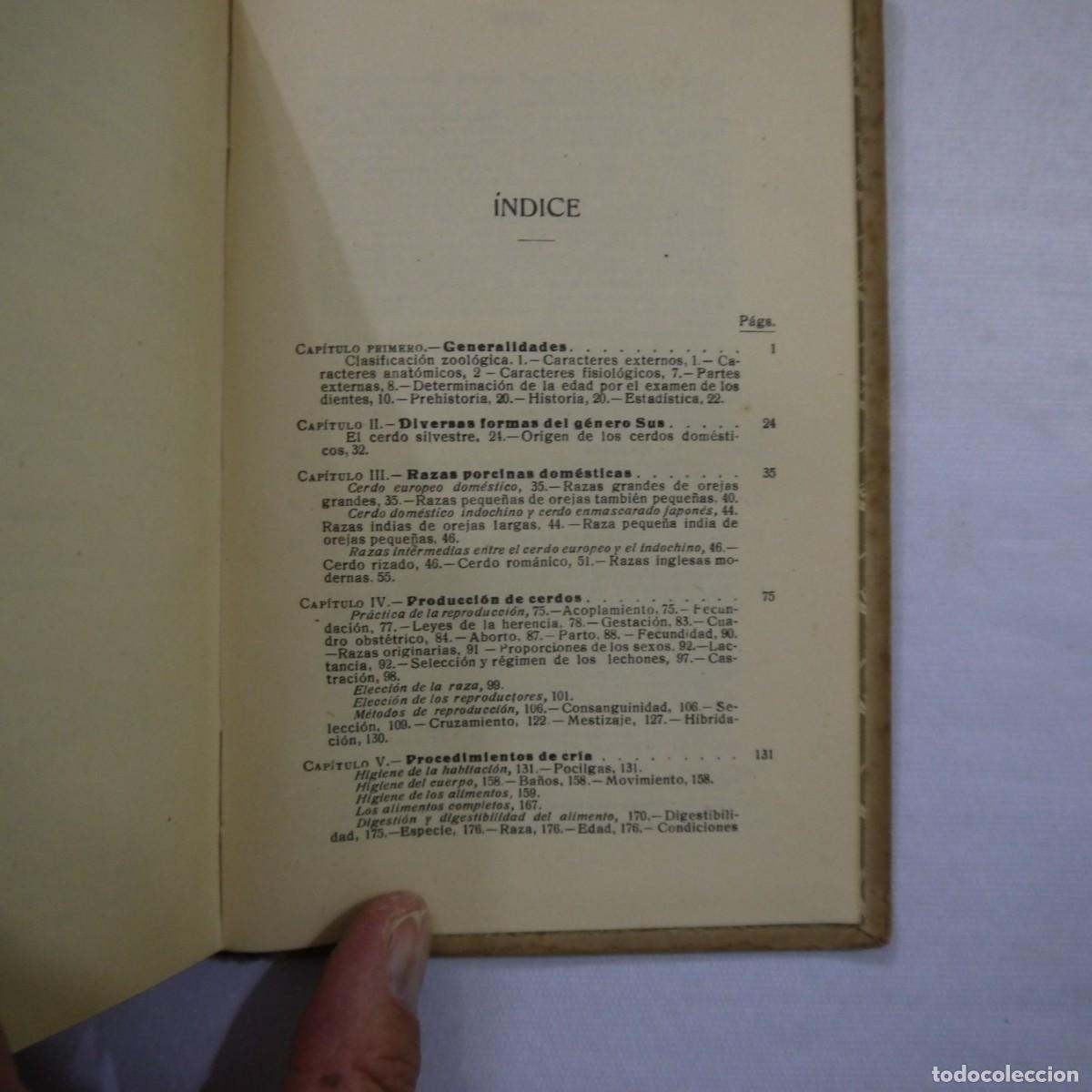 Libros: LA CRIA DEL CERDO - E. MARCHI Y C. PUCHI - GUSTAVO GILI - 1942 - Foto 14