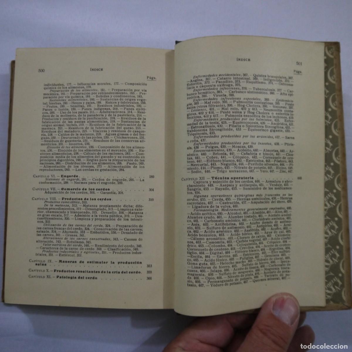 Libros: LA CRIA DEL CERDO - E. MARCHI Y C. PUCHI - GUSTAVO GILI - 1942 - Foto 15