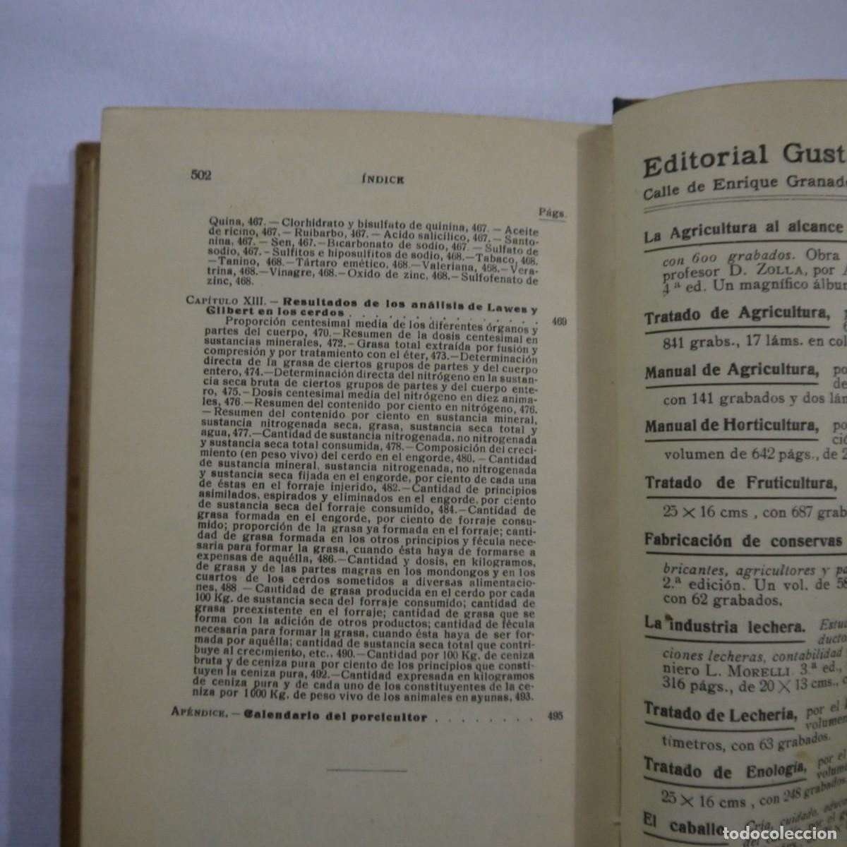 Libros: LA CRIA DEL CERDO - E. MARCHI Y C. PUCHI - GUSTAVO GILI - 1942 - Foto 16