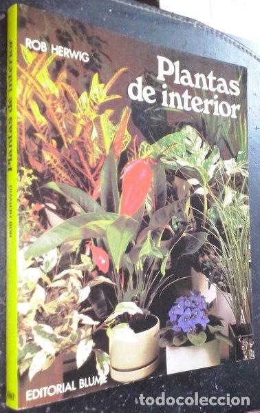 Libros: Plantas de interior- 9788470311314