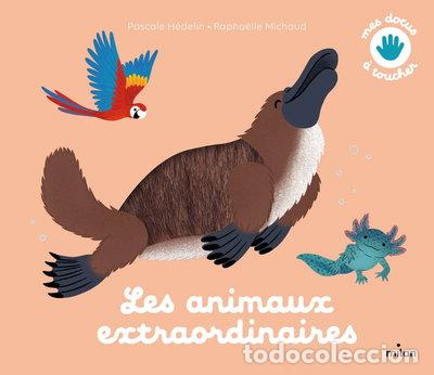 Libros: Les animaux extraordinaires- 9782408038830