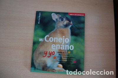 Libros: Mi conejo enano y yo- 9788425514777