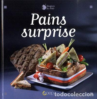 Libros: Pains surprise- 9782737280788