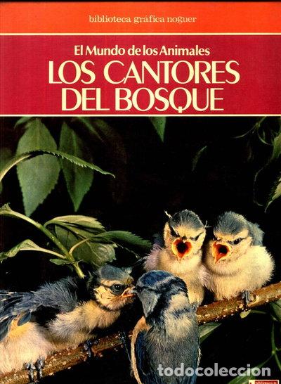 books: Los cantores del bosque- 9788427969254
