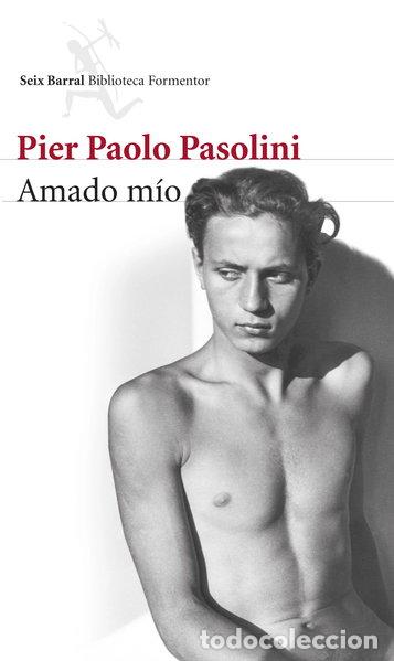 books: Amado m&iacute;o- 9788432222870