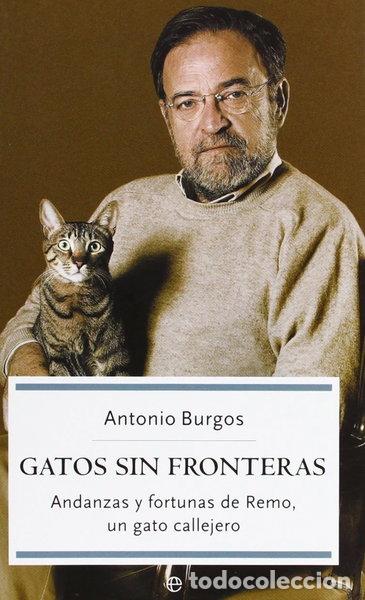 Libros: Gatos sin fronteras- 9788497342667