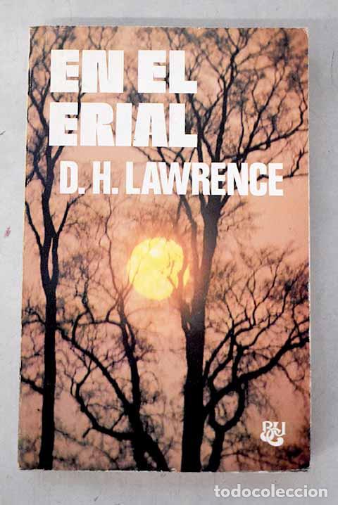 Libros: En el erial: Lawrence, D. H..- Lawrence, D. H.