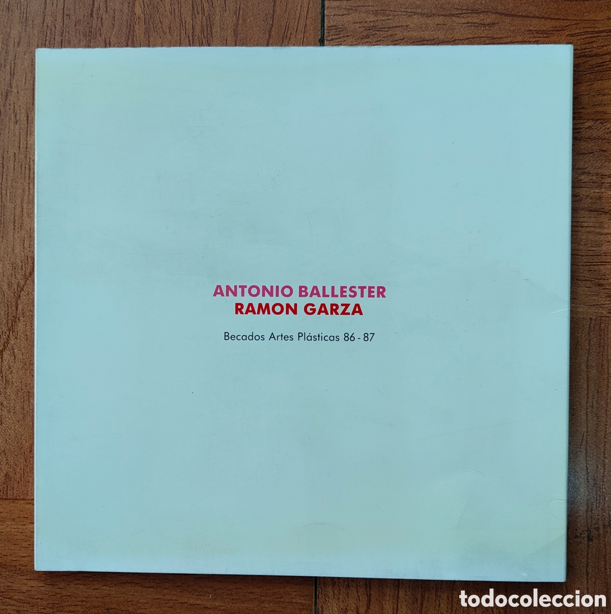 Libros: Antonio Ballester / Ram&oacute;n Garza � Becados Artes Pl&aacute;sticas 86 � 87 - VV. AA.