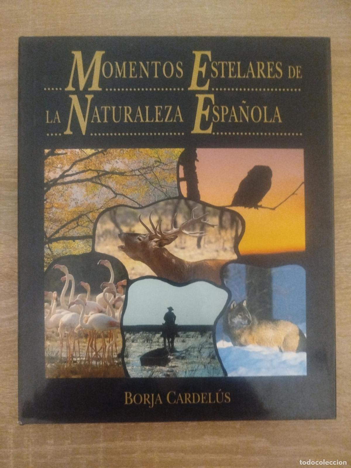 books: Momentos estelares de la naturaleza espa&ntilde;ola - Borja: Cardelus