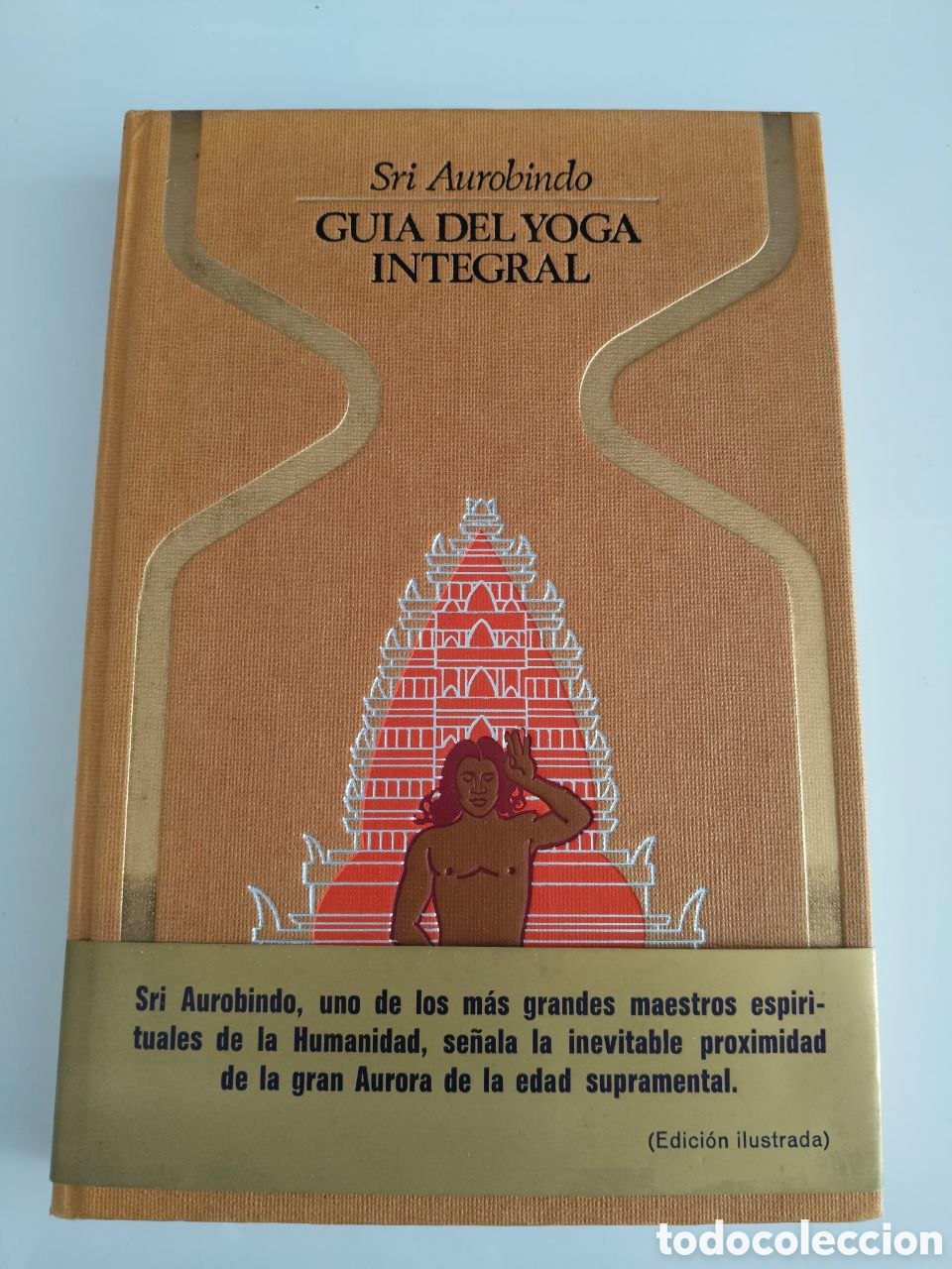 Libros: Sri Aurobindo - Gu&iacute;a del yoga integral
