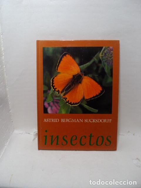 Libri di seconda mano: INSECTOS - Bergman Sucksdorff, Astrid