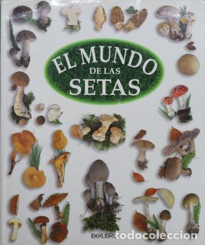 books: El mundo de las setas- 9788473868952