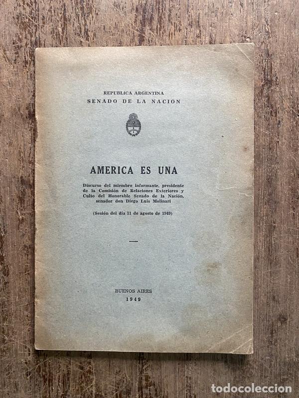Libros: America Es Una - Molinari Diego Luis - Foto 1
