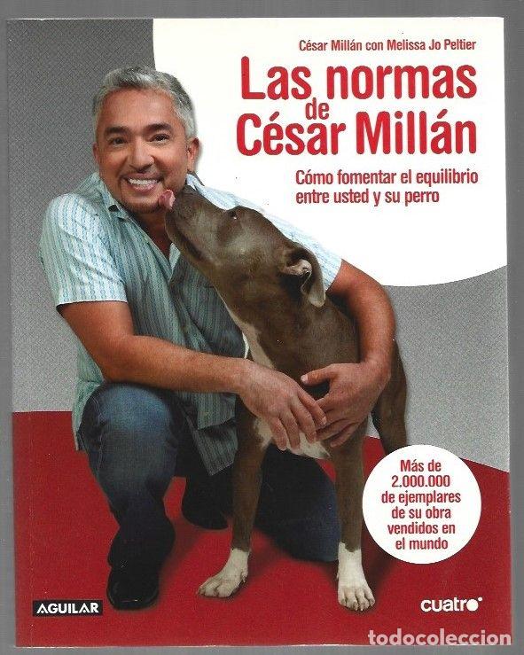 B&uuml;cher: NORMAS DE CESAR MILLAN - LAS. COMO FOMENTAR EL EQUILIBRIO ENTRE USTED Y SU PERRO - MILLAN, CESAR Y M