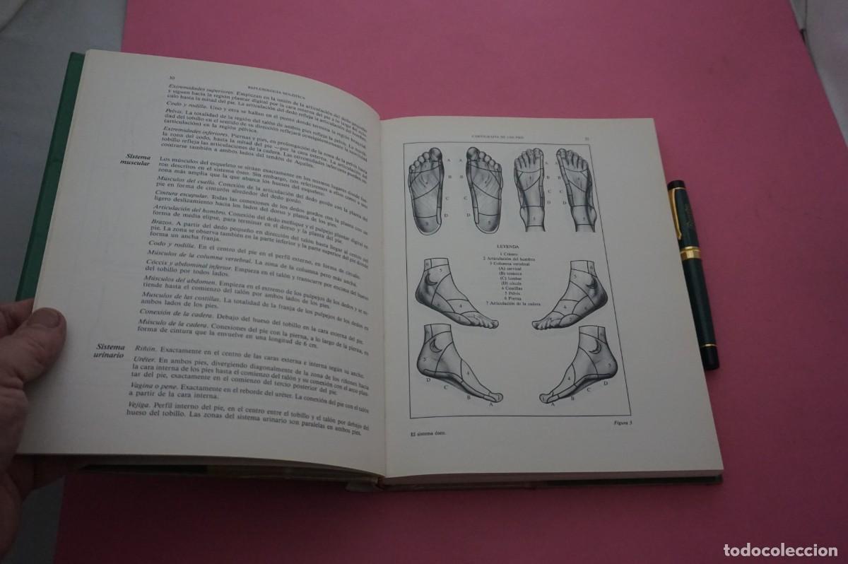 Libros: AMF-11H/ REFLEXOLOGIA HOLISTICA - AVI GRINBERG / EDICIONES BELLATERRA - Foto 5