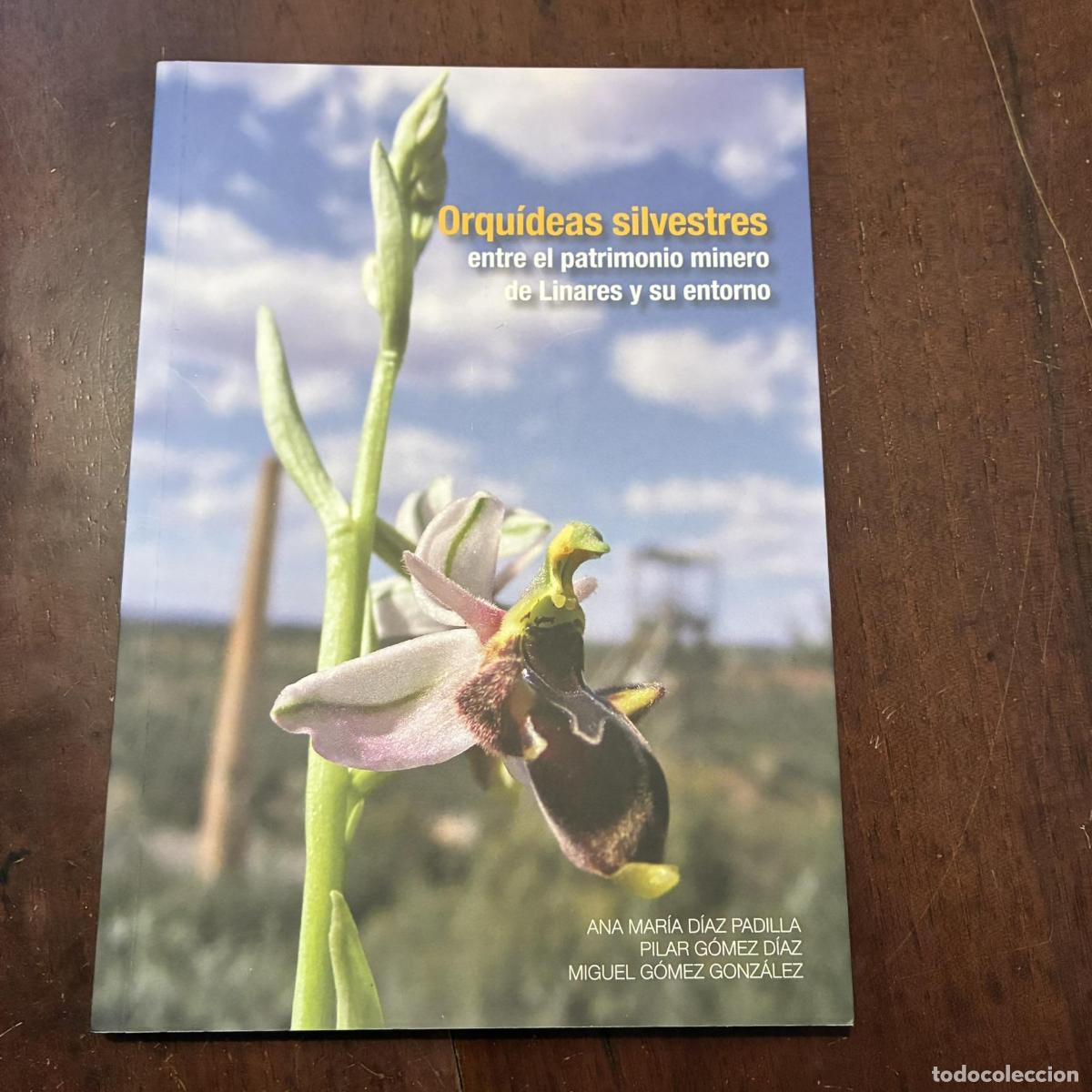 Libri di seconda mano: Orqu&iacute;deas silvestres entre el patrimonio minero de Linares y su entorno - Ana Mar&iacute;a D&iacute;az Padilla. Pi