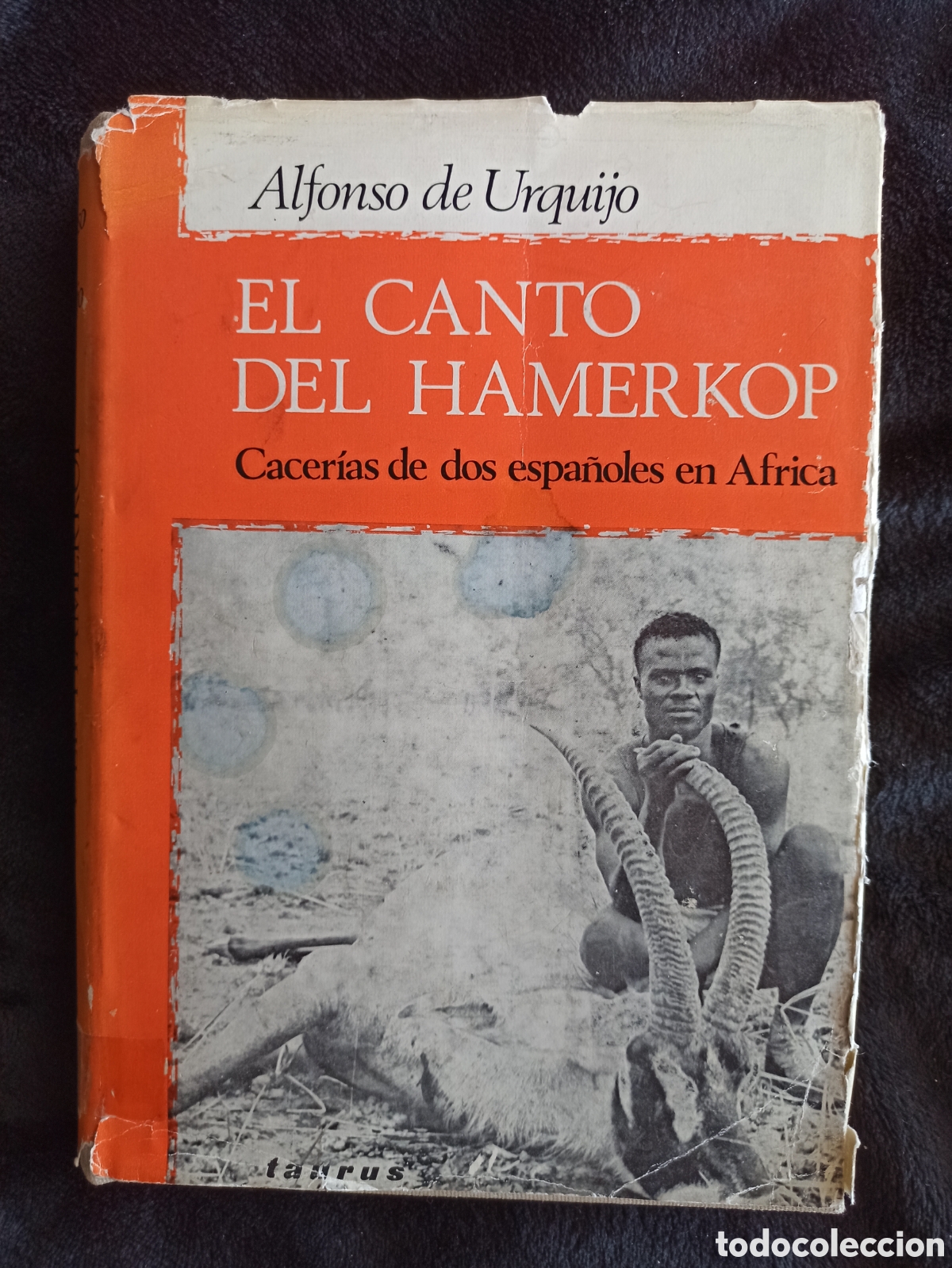Libros: EL CANTO DEL HAMERKOP - ALFONSO DE URQUIJO