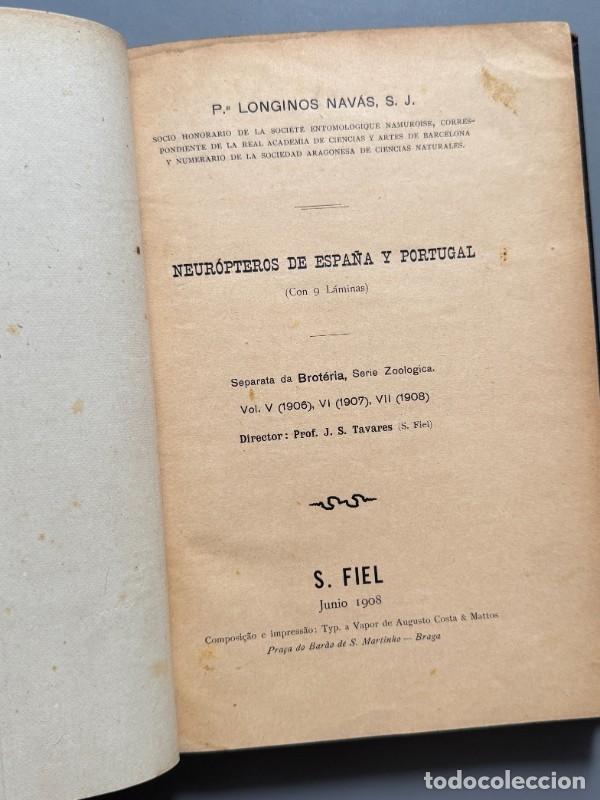 Libros: Neur&oacute;pteros de Espa&ntilde;a y Portugal, Longinos Nav&aacute;s - S. Fiel, 1908