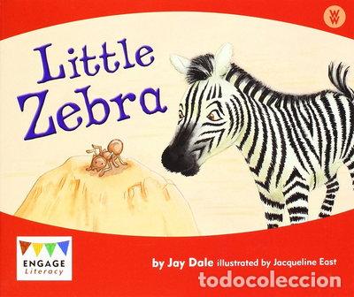 Libri di seconda mano: Little Zebra- 9781406248548