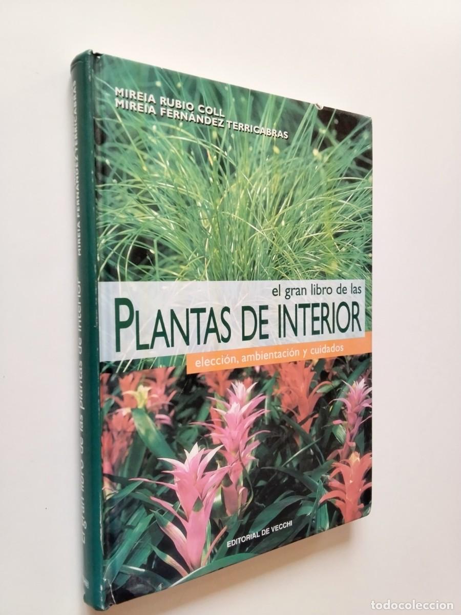 Livros em segunda m&atilde;o: Mireia Rubio Coll - Mireia Fern&aacute;ndez Terricabras - El gran libro de las Plantas de interior. Elecci&oacute;