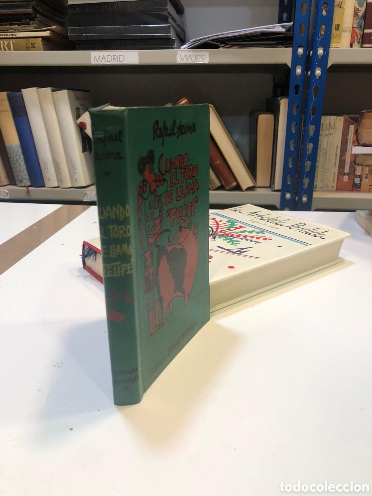 B&uuml;cher: Cuando el toro se llama Felipe - Rafael Azcona
