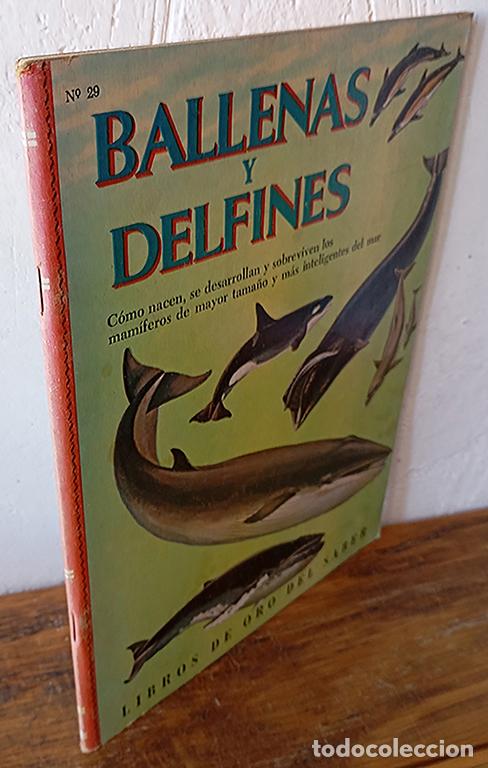 Libros: BALLENAS Y DELFINES. C&oacute;mo nacen, se desarrollan y sobreviven los mam&iacute;feros de mayor tama&ntilde;o y m&aacute;s int