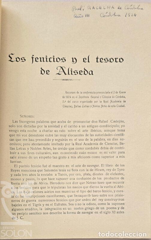 books: Los fenicios y el tesoro de Aliseda - Miguel &Aacute;ngel Ort&iacute; Belmonte