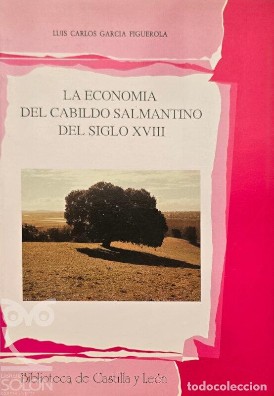 books: La econom&iacute;a del cabildo salmantino del siglo XVIII - Luis Carlos Garc&iacute;a Figueroa