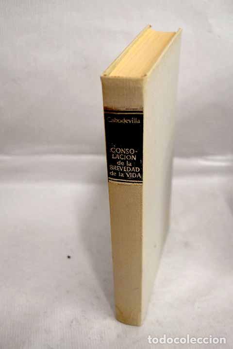 Libros: Consolaci&oacute;n de la brevedad de la vida.- Cabodevilla, Jos&eacute; Mar&iacute;a - Foto 1