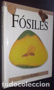 Libri di seconda mano: F&oacute;siles - AA. VV: