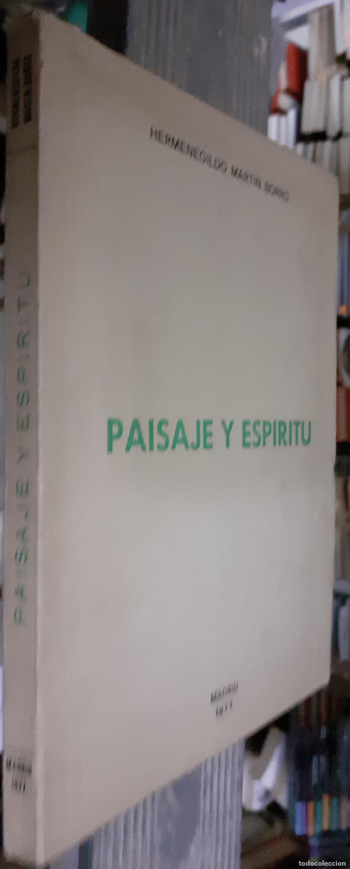 Libros: Paisaje y esp&iacute;ritu 1977 - MART&Iacute;N BORRO, Hermenegildo: