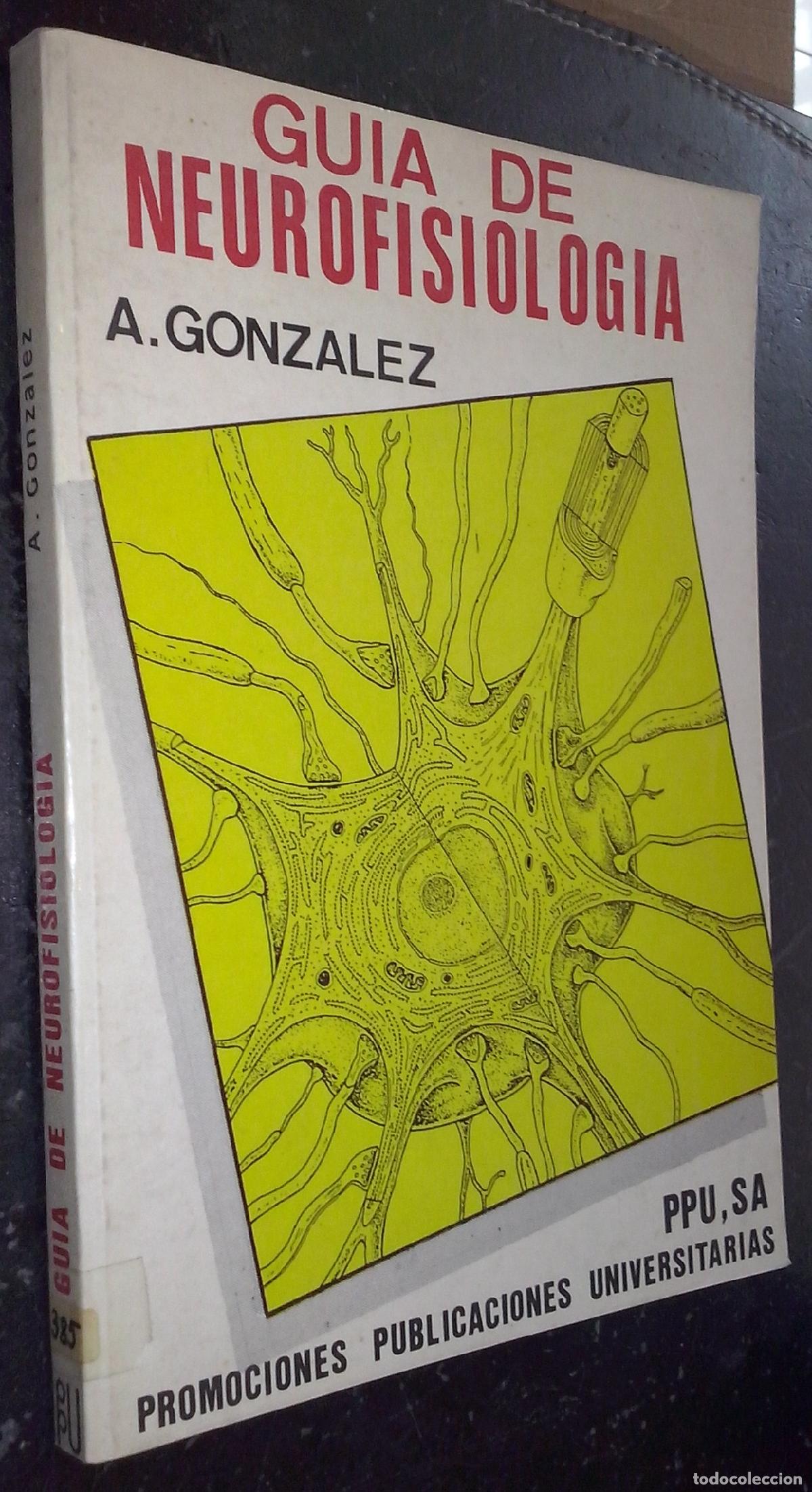 B&uuml;cher: Gu&iacute;a de neurofisiolog&iacute;a para estudiantes de biolog&iacute;a, medicina y farmacia - GONZ&Aacute;LEZ, Alberto: