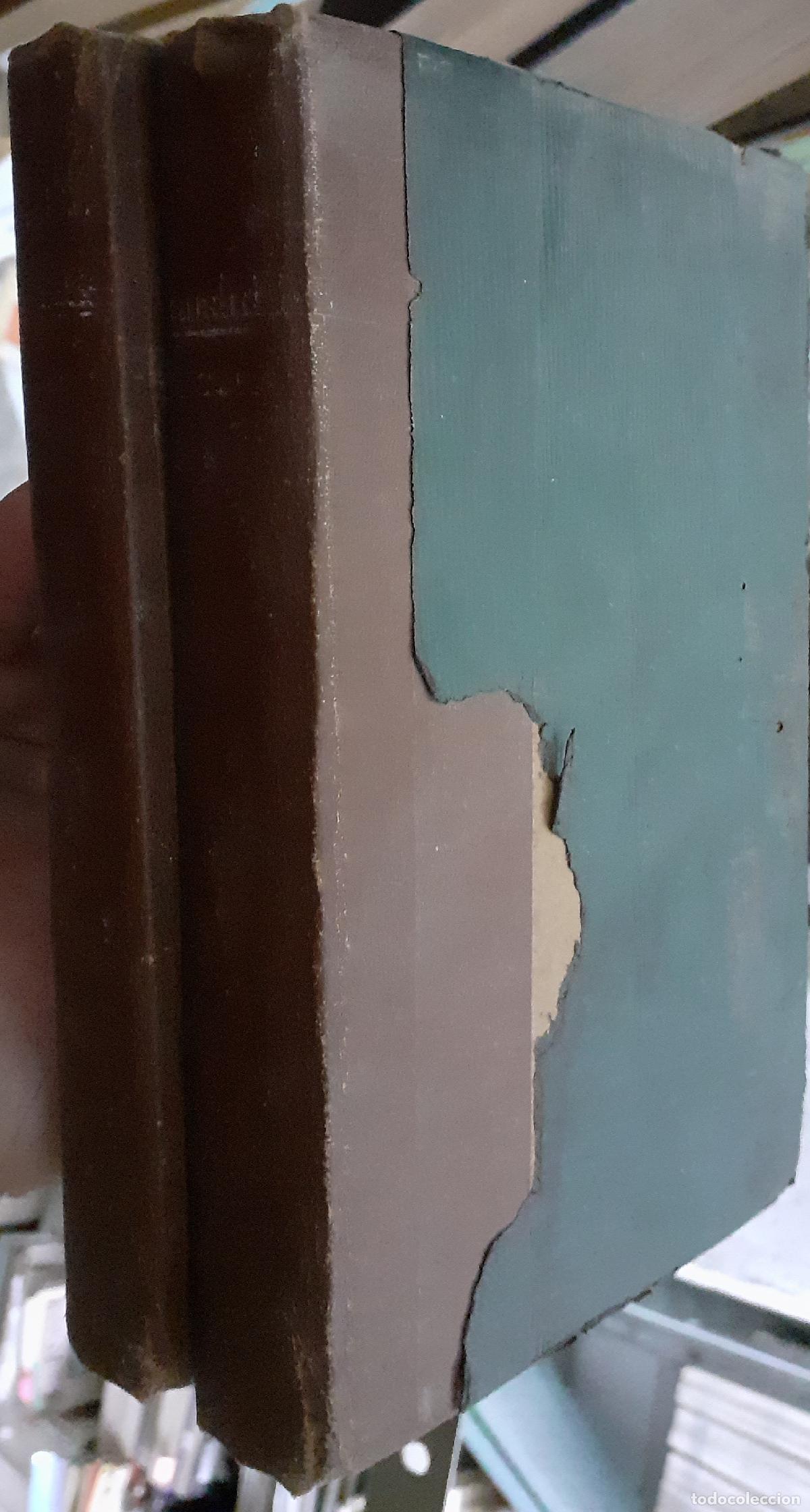 Libri di seconda mano: Los Cuatro Evangelios. Fecundidad - ZOLA, Emilio: