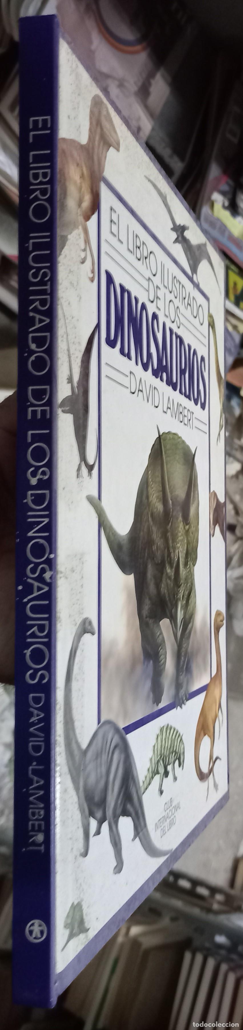 B&uuml;cher: El libro ilustrado de los dinosaurios - LAMBERT, David:
