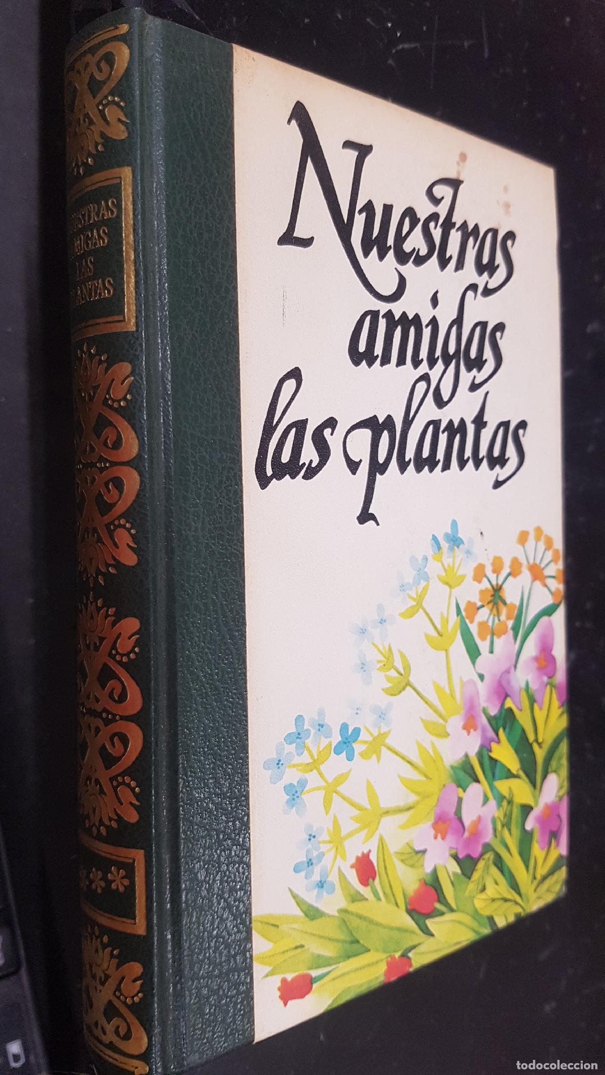 B&uuml;cher: Nuestras amigas las plantas III. Enciclopedia de las plantas - MANTA, Daniele y SEMOLLI, Diego: