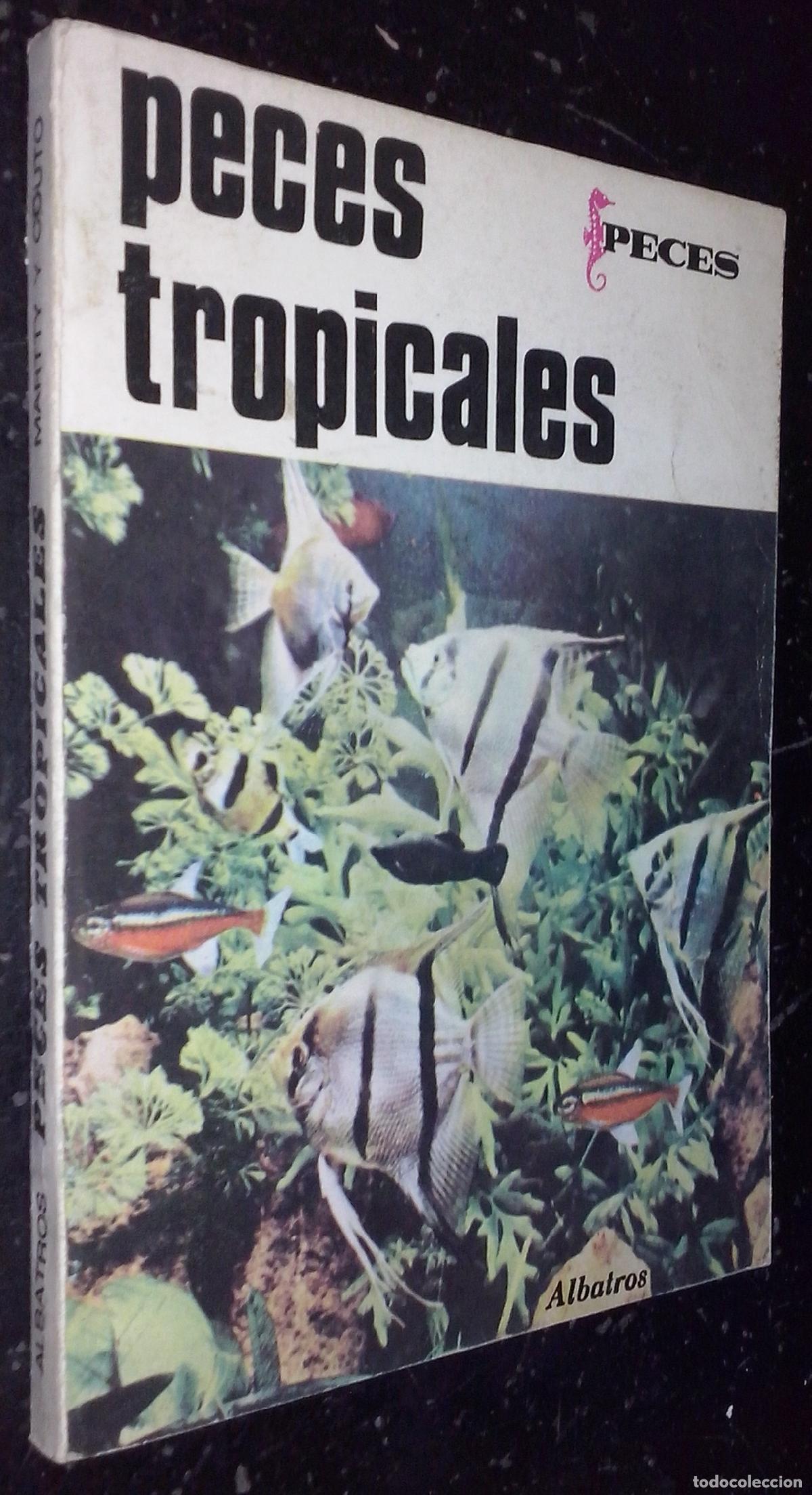 Livros em segunda m&atilde;o: Peces tropicales y el novicio - MARTTY, Hugo A. y COUTTO, Daniel D.: