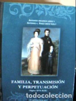 Libri di seconda mano: Familia, transmisi&oacute;n y perpetuaci&oacute;n : siglos XVI-XIX - Autores Varios: