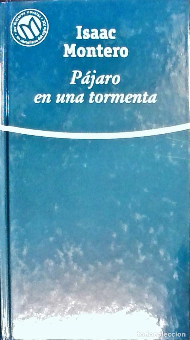 books: P&aacute;jaro en una tormenta - Montero, Isaac: