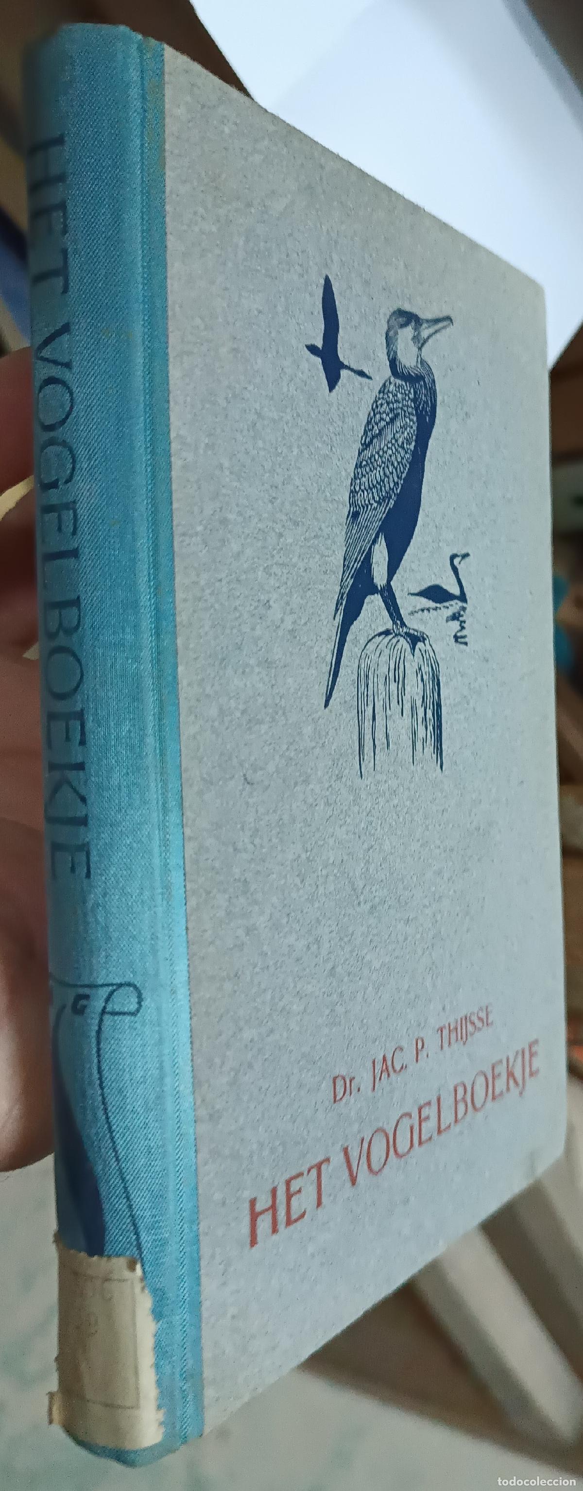 Libri di seconda mano: Het Vogelboekje - THIJSSE, Jac P.: