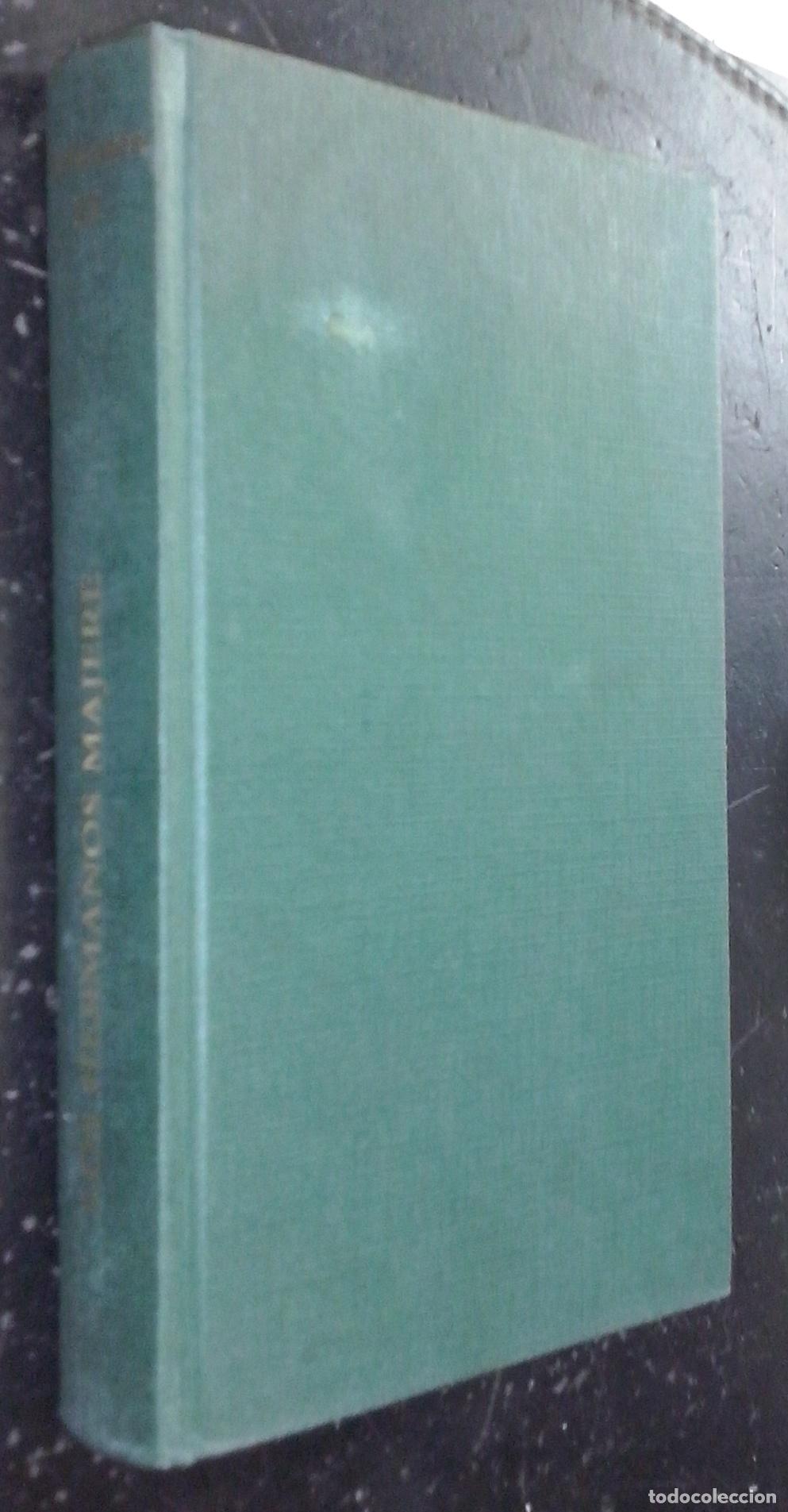 B&uuml;cher: Preludios de la Dragonlance. Volumen III: Los hermanos Majere - STEIN, Kevin: