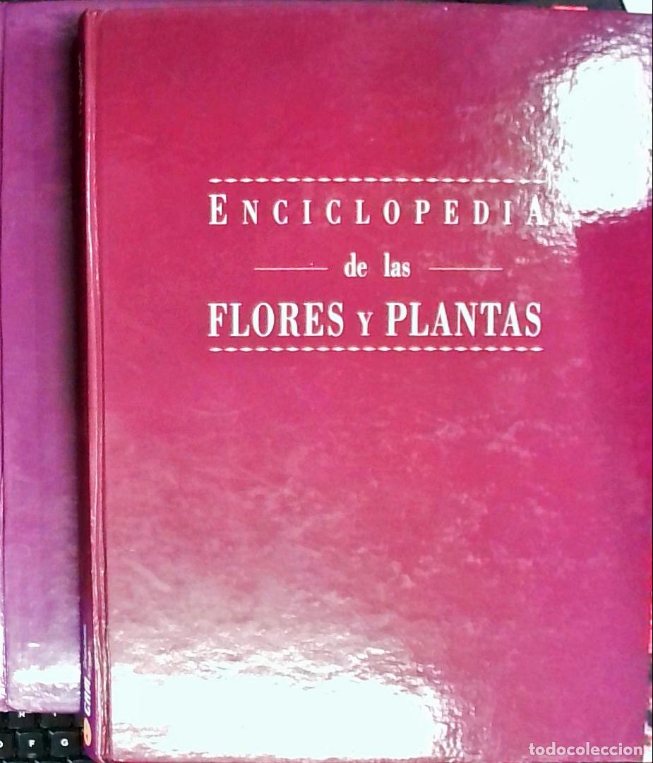 books: Enciclopedia de las flores y plantas. 2 tomos - Autores Varios: