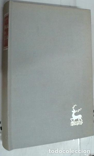 Libri di seconda mano: Filosof&iacute;a jud&iacute;a y musulmana. Alta escol&aacute;stica: desarrollo y decadencia. Historia de la filosof&iacute;a II