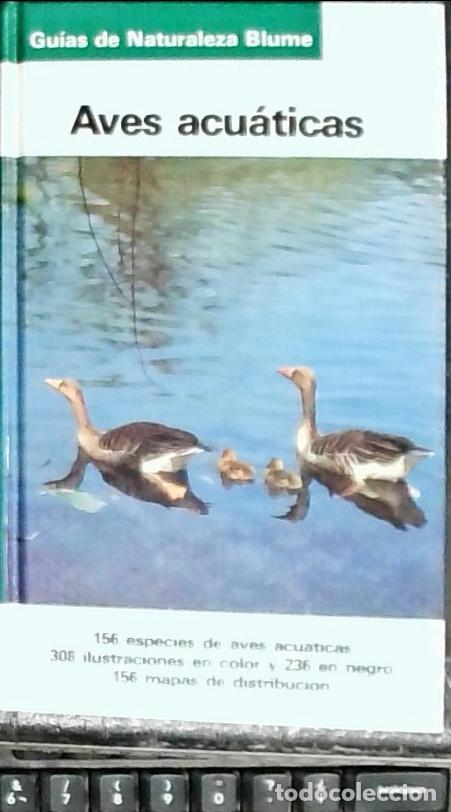 B&uuml;cher: Aves acu&aacute;ticas - Sauer, Frieder: