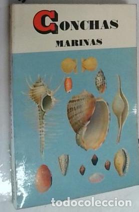 books: Conchas marinas - Tucker Abbott, R. y Zum H.:
