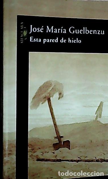 B&uuml;cher: Esta pared de hielo - Guelbenzu Fern&aacute;ndez, Jos&eacute; Mar&iacute;a:
