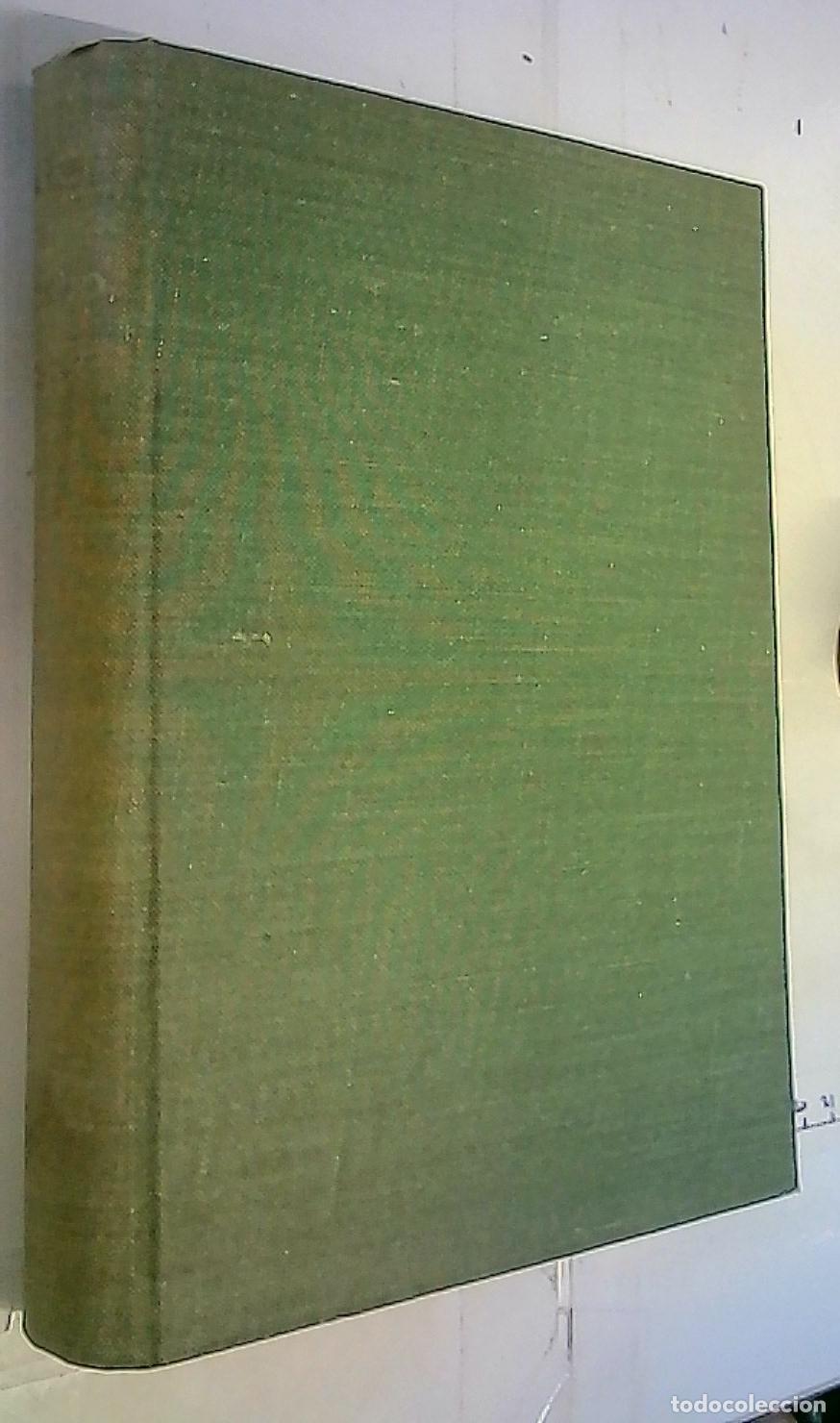 Livres: El art&iacute;culo 1905 - 1955. Antolog&iacute;a literaria de ABC. Selecci&oacute;n de - Balleste, Jaime: