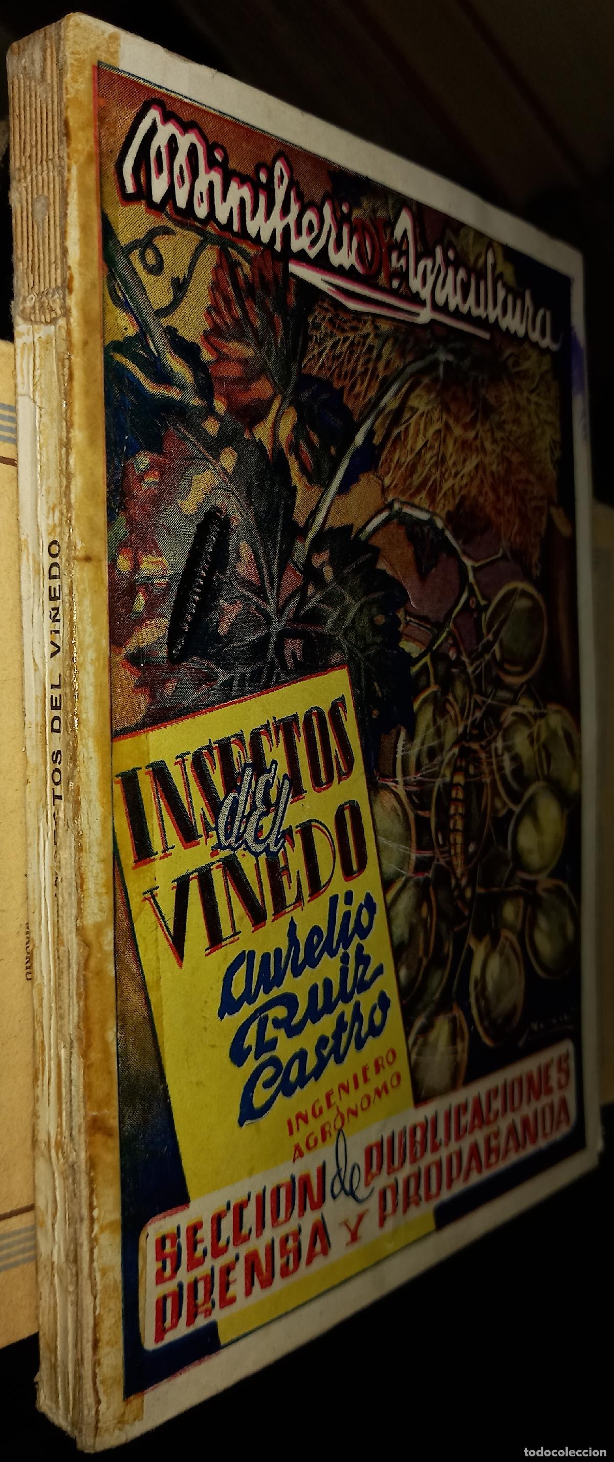 Libros: Insectos del vi&ntilde;edo - Ruiz Castro, Aurelio: