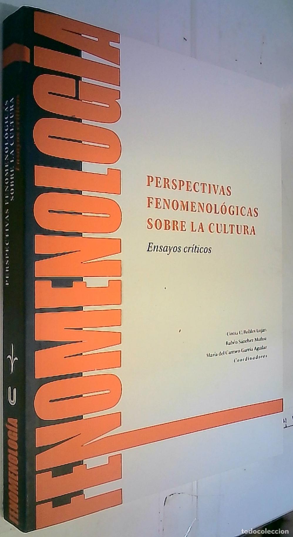 Libros: Perspectivas fenomenol&oacute;gicas sobre la cultura. Ensayos cr&iacute;ticos - Robles Luj&aacute;n, Cintia C.; S&aacute;nchez M